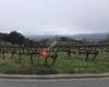 Cavas Llopart, Sant Sadurni