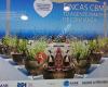 Cbmar Fincas