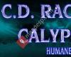CD Racing Calypso