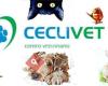 Ceclivet Centro Veterinario