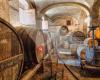 Celler Cal Pla