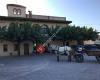 Celler Mas Foraster