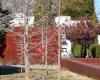 Cementerio Municipal Nstra. Señora de la Montaña