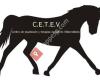 Centro de Equitación y Terapias Ecuestres Villarrobledo - CETEV