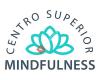 Centro Superior Mindfulness