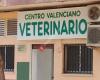 Centro Valenciano Veterinario