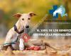 Centro Veterinario ANAA