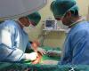 Centro Veterinario La Algaba. Urgencias 24h presenciales