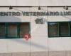 Centro Veterinario Lucas