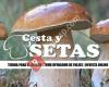 Cesta y Setas