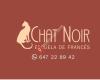 Chat Noir