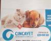 Cincavet Slp Veterinarios a Domicilio