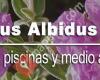 Cistus Albidus S.L.