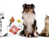 Clínica Veterinària Dr. Gomis