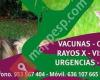 Clínica Veterinaria Argos