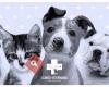 Clínica Veterinaria Can Picafort