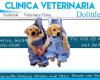 Clínica Veterinaria Dolittle