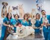 Clínica Veterinaria Ejea