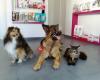 Clínica Veterinaria Happy Pet Vecindario