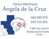 Clínica Veterinaria Ángela de la Cruz