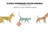 Clínica Veterinaria Victor Andueza