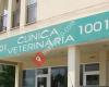 Clinica veterinaria 1001