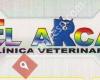 Clinica Veterinaria El Arca