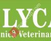 Clinica Veterinaria Felycan Campello