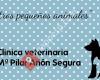 Clinica Veterinaria Mª Pilar Añón Segura