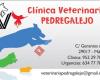 Clinica Veterinaria Pedregalejo