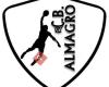 Club Baloncesto Almagro