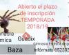 Club Gimnasia Rítmica y estética Beatriz Danzing  Guadix  y  Baza