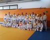 Club Judo Majadahonda