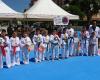Club Taekwondo VIRO