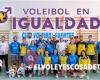 Club Voleibol Fuentes de Andalucía