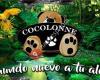 Cocolonne Cáceres