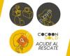 Cocoon GOLD