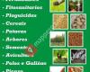 Comercial Agroalimentaria