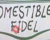 Comestibles Fidel