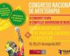 Congreso Nacional De Arteterapia - Feapa- Umu