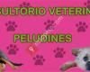 Consultorio Veterinario Peludines