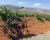 Cortijo El Cura Eco-Bodega