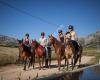 Cortijo Los Lobos - Ethical Horsemanship