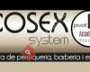 Cosex System SL