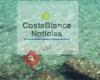 Costa Blanca Noticias
