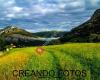 CreandoFotos.es