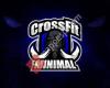 CrossFit Minimal