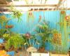 Curious Garden