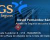 David Fernández  - Seguros MGS
