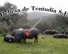 Dehesa De Tentudia S.L.